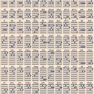 Meet your Posher, Ty